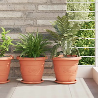 vidaXL Växtkrukor 6 pcs Murgrön Ø 26 x 21,5 cm Plast