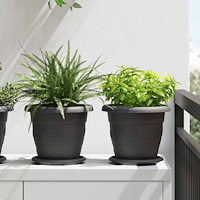 vidaXL Växtkrukor 6 pcs Svart Ø 26 x 21,5 cm Plast