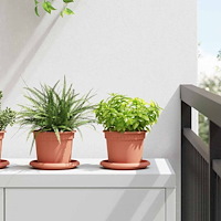 vidaXL Rund Blomkruka 24 pcs Murgrön Ø 12,5 x 10 cm Plast