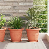 vidaXL Rund Blomkruka 6 pcs Murgrön Ø 26 x 21.5 cm Plast