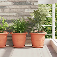 vidaXL Rund Blomkruka 6 pcs Murgrön Ø 26 x 21.5 cm Plast