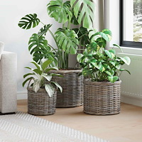 vidaXL Planteringskorg med lagring 3 pcs Grå Kubu Rattan