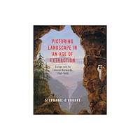 The university of chicago press Picturing Landscape in an Age of Extraction (inbunden, eng)