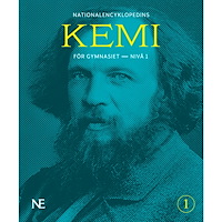 Magnus Ehinger NE kemi för gymnasiet - nivå 1 (bok, flexband)