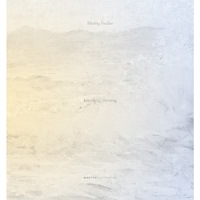 Hedvig Fischer Kortsiktig; riktning (bok, danskt band)