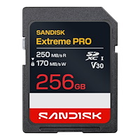 SANDISK SD Extreme Pro 256GB 250/170MB/s C10 UHS U3 V30 RPD2