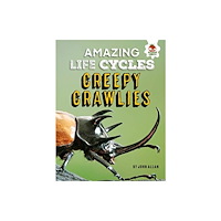 Hungry Tomato Ltd Amazing Life Cycles-Minibeasts (häftad, eng)