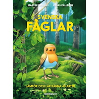 Martin Emtenäs Svenska fåglar : jämför och lär känna 40 arter (inbunden)