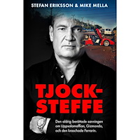 Stefan Eriksson Tjock-Steffe (inbunden) (Skadad)