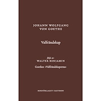 Johann Wolfgang von Goethe Valfrändskap (inbunden)