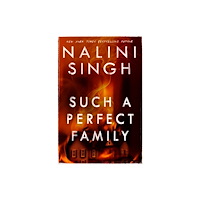 Orion Publishing Co Such a Perfect Family (häftad, eng)