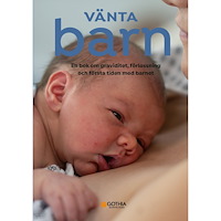 Hanne Fjellvang Vänta barn : en bok om graviditet, förlossning och första tiden med barnet (häftad)