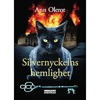 Ann Olerot Silvernyckelns hemlighet (bok, kartonnage)
