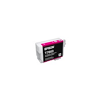 EPSON Epson T7603 - intensiv magenta - original - bläckpatron