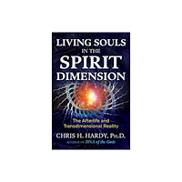 Bear & Company Living Souls In The Spirit Dimension (häftad, eng)