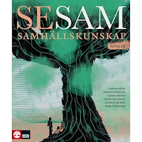 Hanna Bäck SeSam Samhällskunskap nivå 1b : Samhällskunskap nivå 1b (häftad)