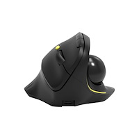 PORT Designs PORT Connect Professional - vertikal mus - with trackball - 2.4 GHz, Bluetooth 3.0, Bluetooth 5.0