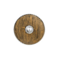 Boland Traciks Boland 8712026440440, Maskeradsköld, Vuxen, Alla, Polypropyl...