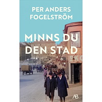Per Anders Fogelström Minns du den stad (pocket)