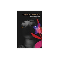 Seagull Books London Ltd Places in the Dark (inbunden, eng)