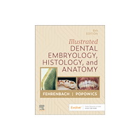 Elsevier Health Sciences Illustrated Dental Embryology, Histology, and Anatomy (häftad, eng)