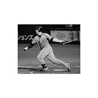 University of Nebraska Press In the Japanese Ballpark (inbunden, eng)