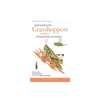 Bloomsbury Publishing PLC Field Guide to the Grasshoppers and Allies of Great Britain and Ireland (häftad, eng)
