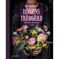 Lind & Co Häxans trädgård