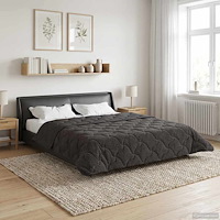 vidaXL Full Års-Duvet Quiltad Antracit 220 x 240 cm