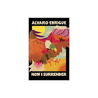 Vintage Publishing Now I Surrender (inbunden, eng)