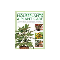 Anness publishing The Illustrated Practical Guide to Houseplants & Plant Care (inbunden, eng)
