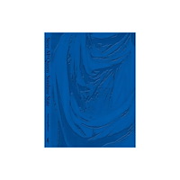 Distributed Art Publishers STEVE MCQUEEN DEPARTURE (häftad, eng)