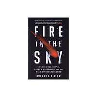 Simon & Schuster Fire in the Sky (häftad, eng)
