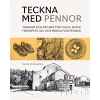 David Morales Teckna med pennor : tekniker och projekt för tusch, bläck, fiberspets, gel (bok, danskt band)