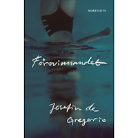 Josefin de Gregorio Försvinnandet (inbunden)