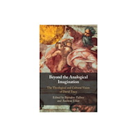 Cambridge University Press Beyond the Analogical Imagination (häftad, eng)