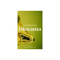 Quercus Publishing Diorama (inbunden, eng)