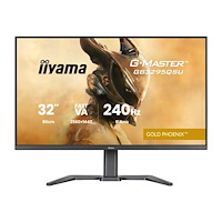 Iiyama iiyama G-MASTER Gold Phoenix GB3295QSU-B1 - LED-skärm - QHD - 31.5" - HDR