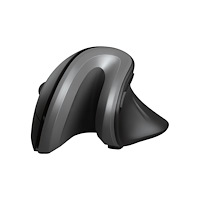 Trust Computer Products Trust Verro - vertikal mus - 2.4 GHz