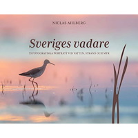 Niclas Ahlberg Sveriges vadare : 33 fotografiska porträtt vid vatten, strand och myr (bok, halvklotband)