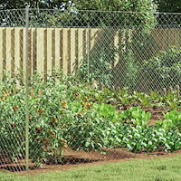 vidaXL Kedjelänk Stängsel Galvaniserad 2 x 20 m Glas