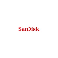 SANDISK WD Blue