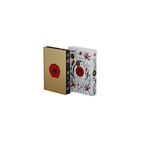 St. Martin's Publishing Group Divine Rivals (inbunden, eng)