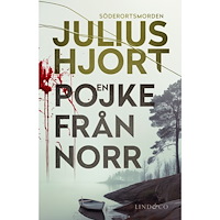 Julius Hjort En pojke från norr (pocket)