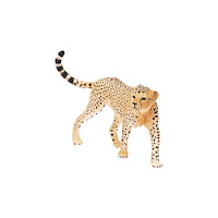 Schleich Schleich Wild Life