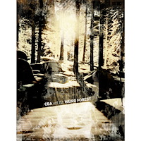 Tomasz Kontny CBA vol 72: Weird forest (häftad, eng)