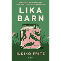 Ildikó Fritz Lika barn (pocket)