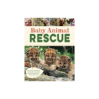 Hachette Children's Group Baby Animal Rescue (inbunden, eng)