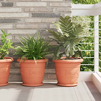 vidaXL Växtkrukor 24 pcs Murgrön Ø 26 x 21,5 cm Plast