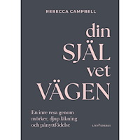 Livsenergi Din själ vet vägen : en inre resa genom mörker, djup läkning och pånyttfödelse (inbunden)